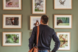 Exhibitions of the moment