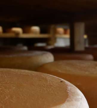 Vente à la ferme dans les Pyrénées Atlantiques - Direct au producteur Sud Ouest