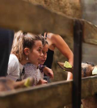 Visite de ferme en Pays de Nay - Béarn