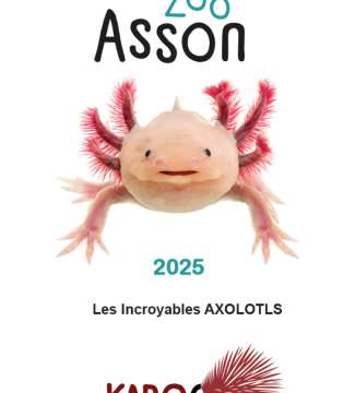Dossier de presse Zoo d'Asson